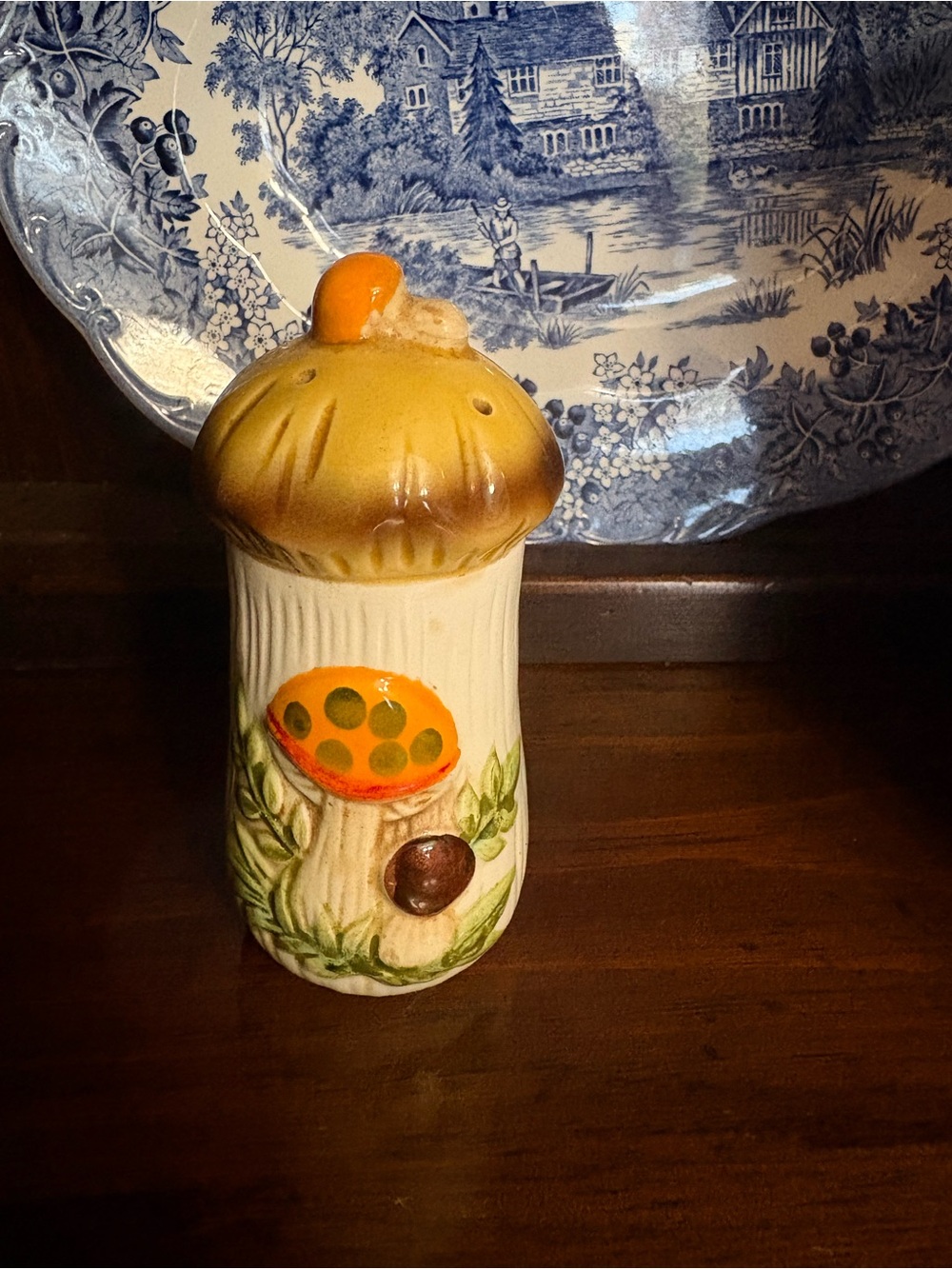 Merry mushroom shaker 1970’s